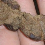 old school hash