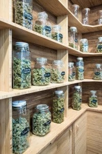 panacea medical marijuana dispesary portland oregon