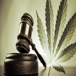 schedule i 1 one marijuana