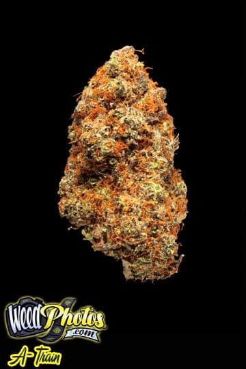a train marijuana strain a train marijuana strain