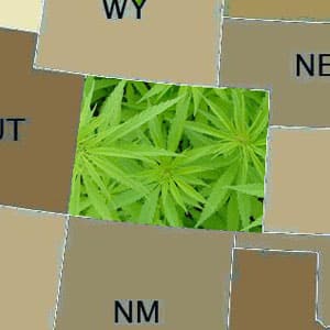 Colorado Marijuana Colorado Marijuana amendment 64