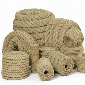 Industrial hemp Industrial hemp
