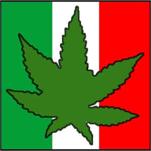 mexico flag marijuana mexico flag marijuana