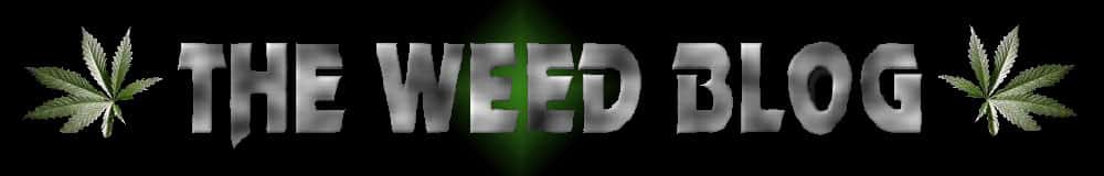 twbhead