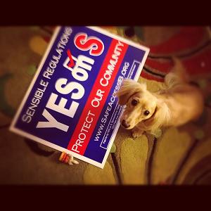 yes on prop s safe access imperial beach yes on prop s safe access imperial beach
