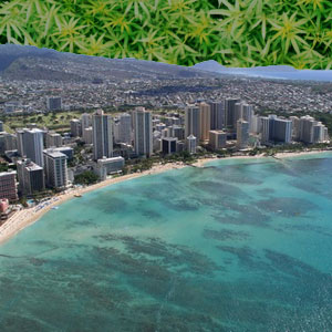 hawaii marijuana skyline