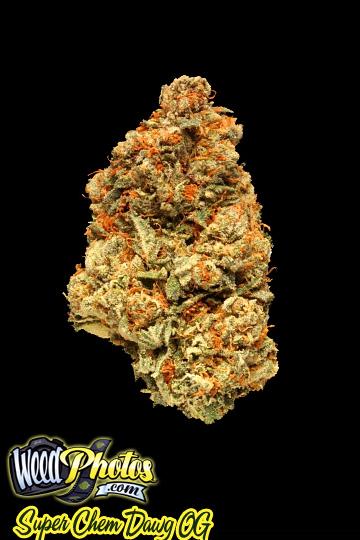 super chem dawg og marijuana strain 1